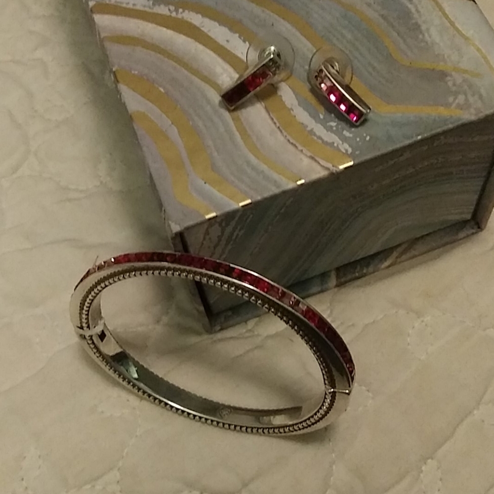Bracelet earrings